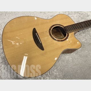 DCT VR-300 CE【Natural Gloss】