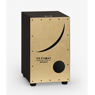 Roland EC-10 Electronic Layered Cajon【5月セール!! ローン分割手数料0%(12回迄)】