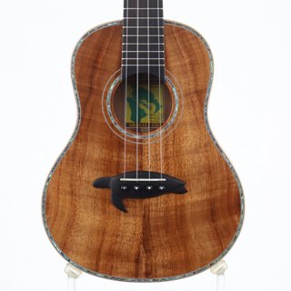 BIG ISLAND KX-TRG 【心斎橋店】