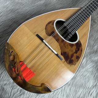 弦楽器、CALACEの検索結果【楽器検索デジマート】