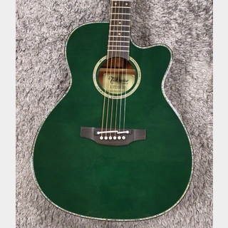 エレクトリック・アコースティックギター、Takamineの検索結果