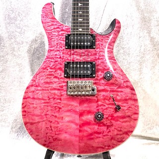 エレクトリックギター、Paul Reed Smith(PRS)、SE Custom 24の検索結果