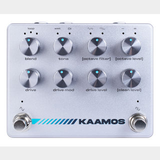 Darkglass Electronics KAAMOS