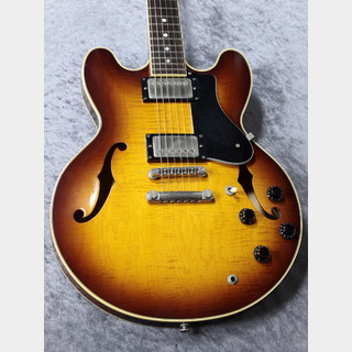 FUJIGEN(FGN) 【秋の買い替えキャンペーン!】Masterfield MSA-HP AS ～AntiqueSunburst～ 【2007'sUSED】