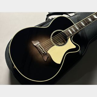 Takamine TSP10CS【Used】630mmスケール / 薄胴