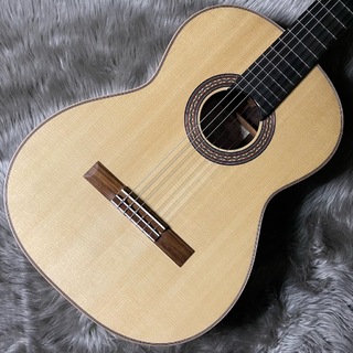 ASTURIASTSUJI S-2/S TSUJIギター