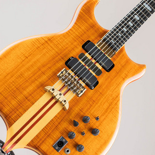 ALEMBIC Series I LSG w/DS-5R