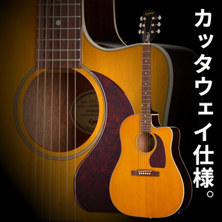Epiphone dot Studioの検索結果【楽器検索デジマート】