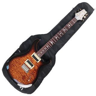 br>PRS ポールリードスミス/エレキギター/SE Custom 24/G005056/A  