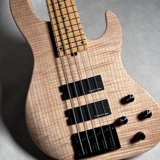 Red House Guitars Seeker 5 S【現物画像】Custom Model