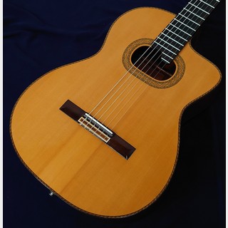 Takamine PTG-018 1982年製