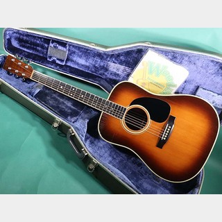 Martin D-35SB