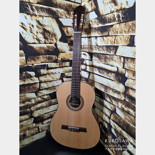 Karl Hofnerの検索結果【楽器検索デジマート】