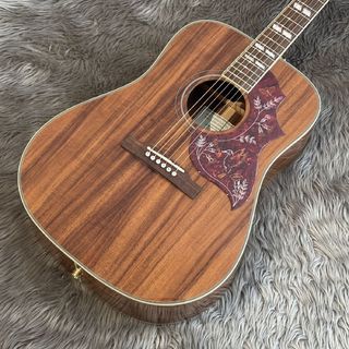 Epiphone Hummingbird Koa Special/エレアコギター【実物写真】