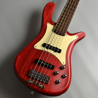 Warwick Pro Series Streamer CV5st