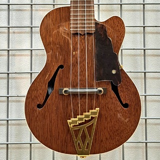 D'Angelico MU-5-NA