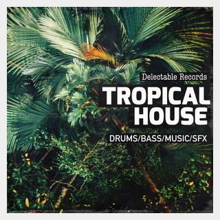 DELECTABLE RECORDS DELECTABLE RECORDS PRESENT - TROPICAL HOUSE 01