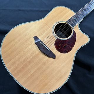 Breedloveの検索結果【楽器検索デジマート】