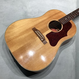 アコースティックギター、Gibson、J-50、J-50の検索結果【楽器検索