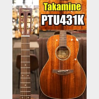 アコースティックギター／エレクトリック・アコースティックギターの