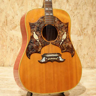 Gibson Dove NT WPG(Double Pick Guard)