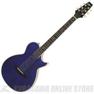 ギター Aria Guitar Aria RETRO CLASSICS 1532J full setup Yoshikawa Guitar Repair