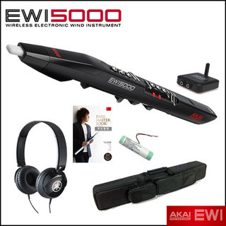 AKAI EWI5000J ウィンドシンセ 【WEBSHOP】