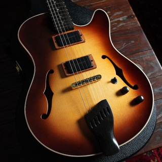 Buscarino Starlight Archtop Custom Sunburst