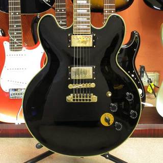 Epiphone、B.B. King Lucilleの検索結果【楽器検索デジマート】