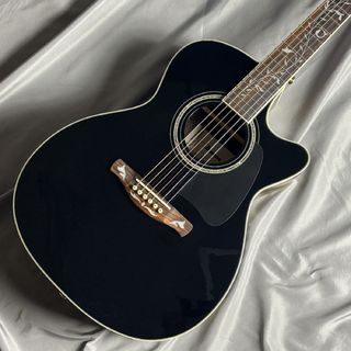 Ibanez AC391RCE エレアコギター