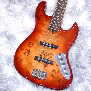 Bacchus 【月末SALE】WJB-BP/Act RD-B