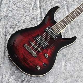 FUJIGEN(FGN) EEL-FM/BCS -Black Cherry Sunburst-