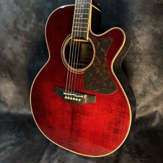 アコースティックギター／エレクトリック・アコースティックギター