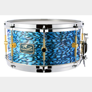 canopus The Maple 8x14 Snare Drum Blue Onyx