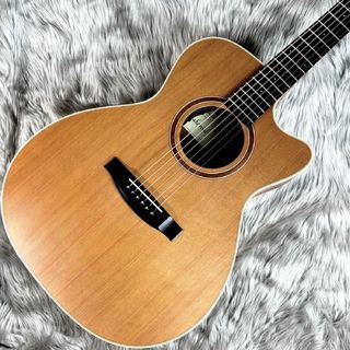 Lakewoodの検索結果【楽器検索デジマート】
