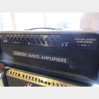 Custom Audio ElectronicsPT-100