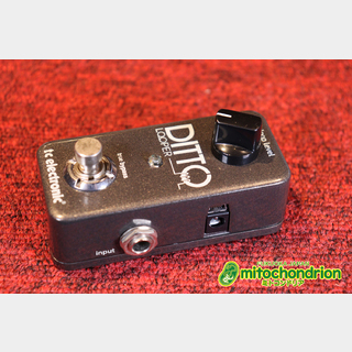 ギター用エフェクター、t.c. electronic、Ditto Looperの検索結果