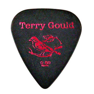 PICKBOY GP-TG-TB/06 Terry Gould 0.60mm ギターピック×10枚