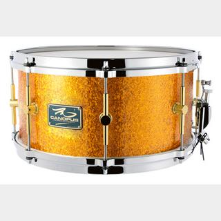 canopusThe Maple 8x14 Snare Drum Gold Spkl
