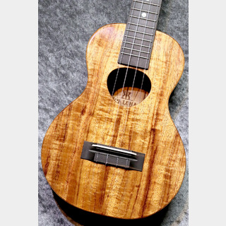 Koaloha KCM-00 【コンサート】【美杢個体】【現物写真】【池袋店在庫品】