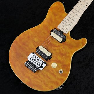 Sterling by MUSIC MAN Japan Limited AX40 Trans Gold【御茶ノ水本店】