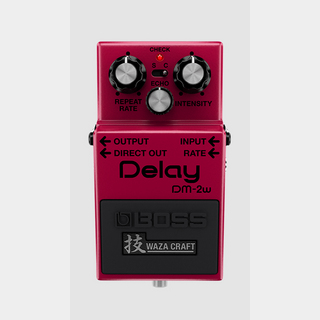 BOSS DM-2w Delay