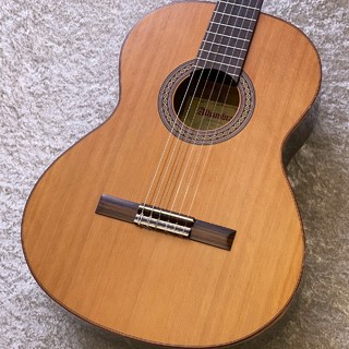 Alhambra GuitarsIB ZIRICOTE 【中古】【杉/ジリコテ】【良杢】【町田店】