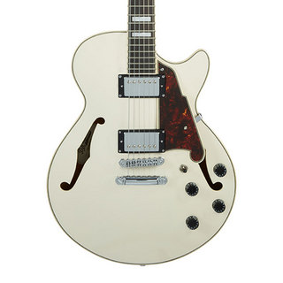 D'Angelico 【本数限定セール】Premier SS, Champagne