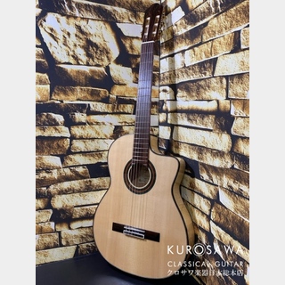 エレクトリック・アコースティックギター、ARIAの検索結果【楽器検索