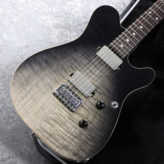エレキギター、Addictoneの検索結果【楽器検索デジマート】