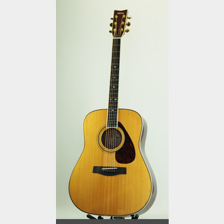 アコースティックギター／エレクトリック・アコースティックギター