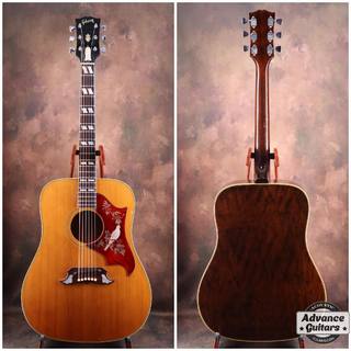 Gibson 1969 Dove Natural