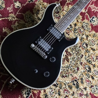 Paul Reed Smith(PRS) SE CLINT LOWERY 【PUダンカン改造品】