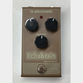 tc electronicEchobrain 【USED】